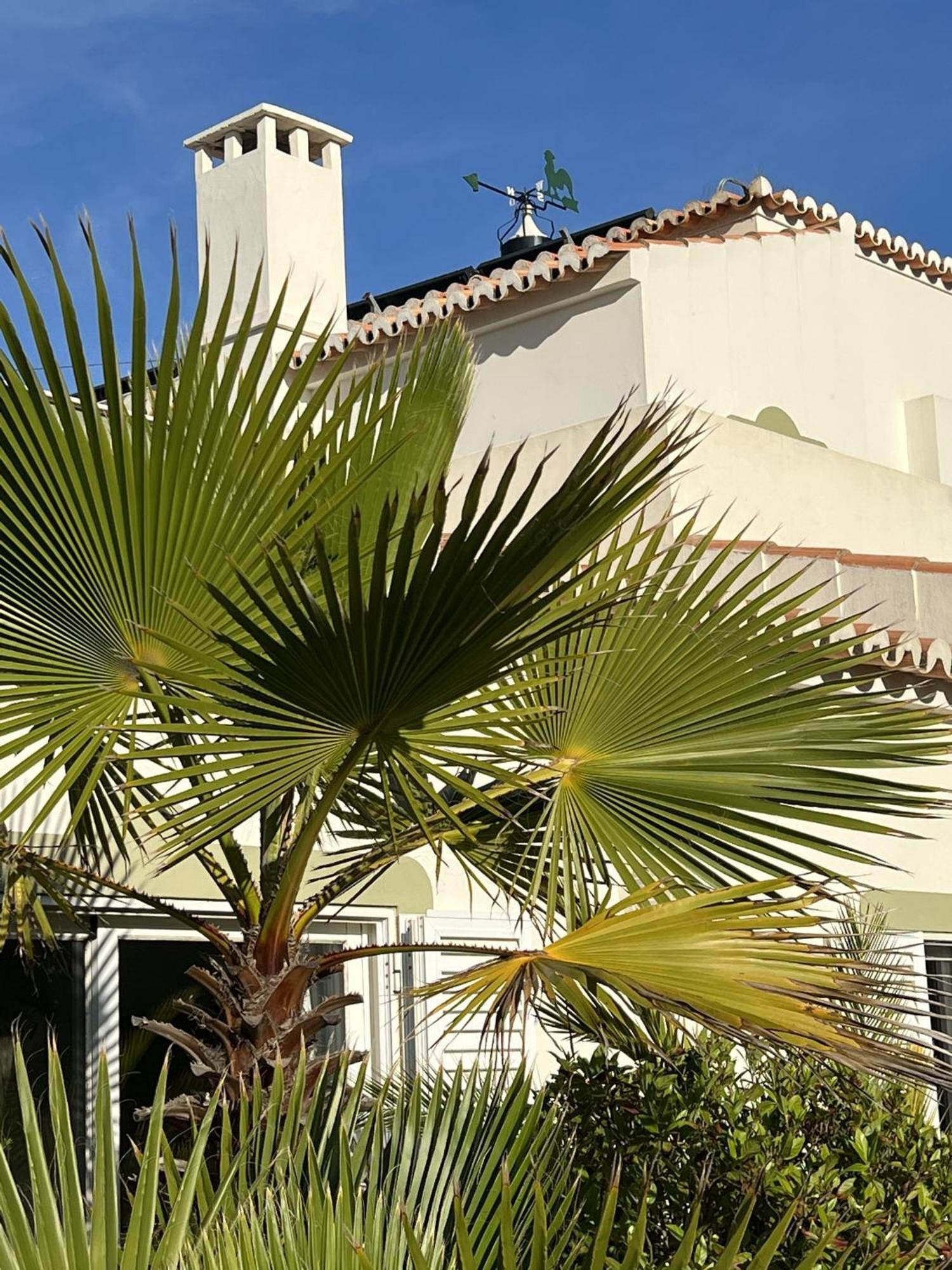 233 Casa Galo Verde Apartments Porches  Exteriör bild